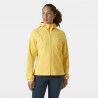 Hay Yellow