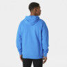 Helly Hansen HH Box Hoodie - Hoodie - Men's
