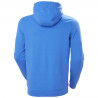 Helly Hansen HH Box Hoodie - Hoodie - Men's