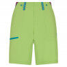Lime Green / Red Plum