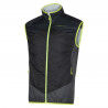 Black / Lime Punch