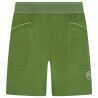 Kale / Lime Green