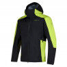 Black / Lime Punch