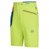 Lime Punch / Storm Blue