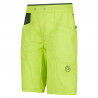 Lime Punch / Forest