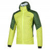 Lime Punch / Forest