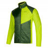 Forest / Lime Punch