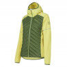 Forest / Green Banana