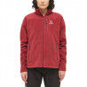 Carmine Red