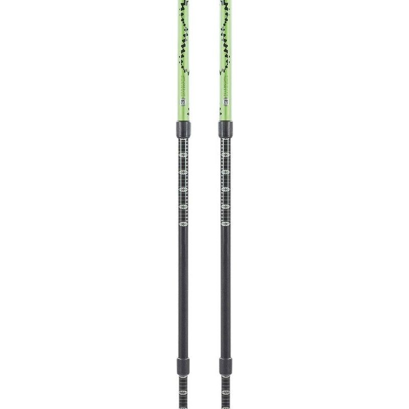 Ferrino Totem - Bastoncini da trekking | Hardloop