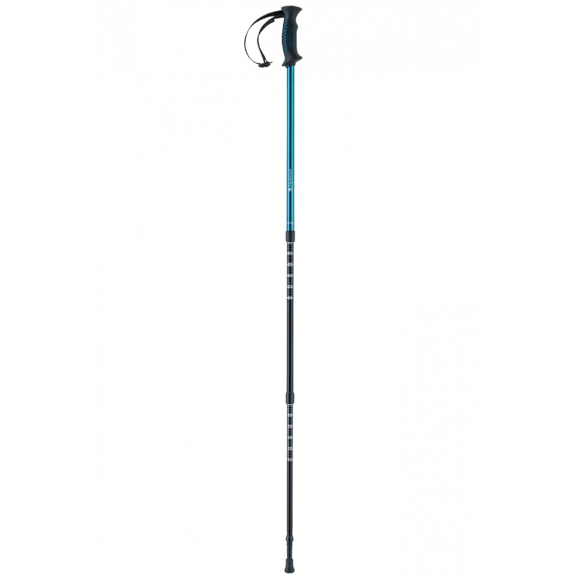 Ferrino GTA - Hiking poles | Hardloop