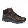 Chestnut / Black