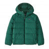Conifer Green