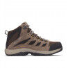 Cordovan / Squash