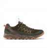 Deep Olive / Desert Sun
