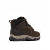 Columbia Newton Ridge Plus II Waterproof - Sapatilhas caminhada homem | Hardloop