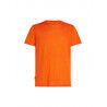 Icebreaker Merino 125 Cool-Lite Sphere III SS Tee - Merino shirt - Men's | Hardloop
