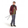 icebreaker Descender LS Zip - Polar z wełny Merino® męski | Hardloop