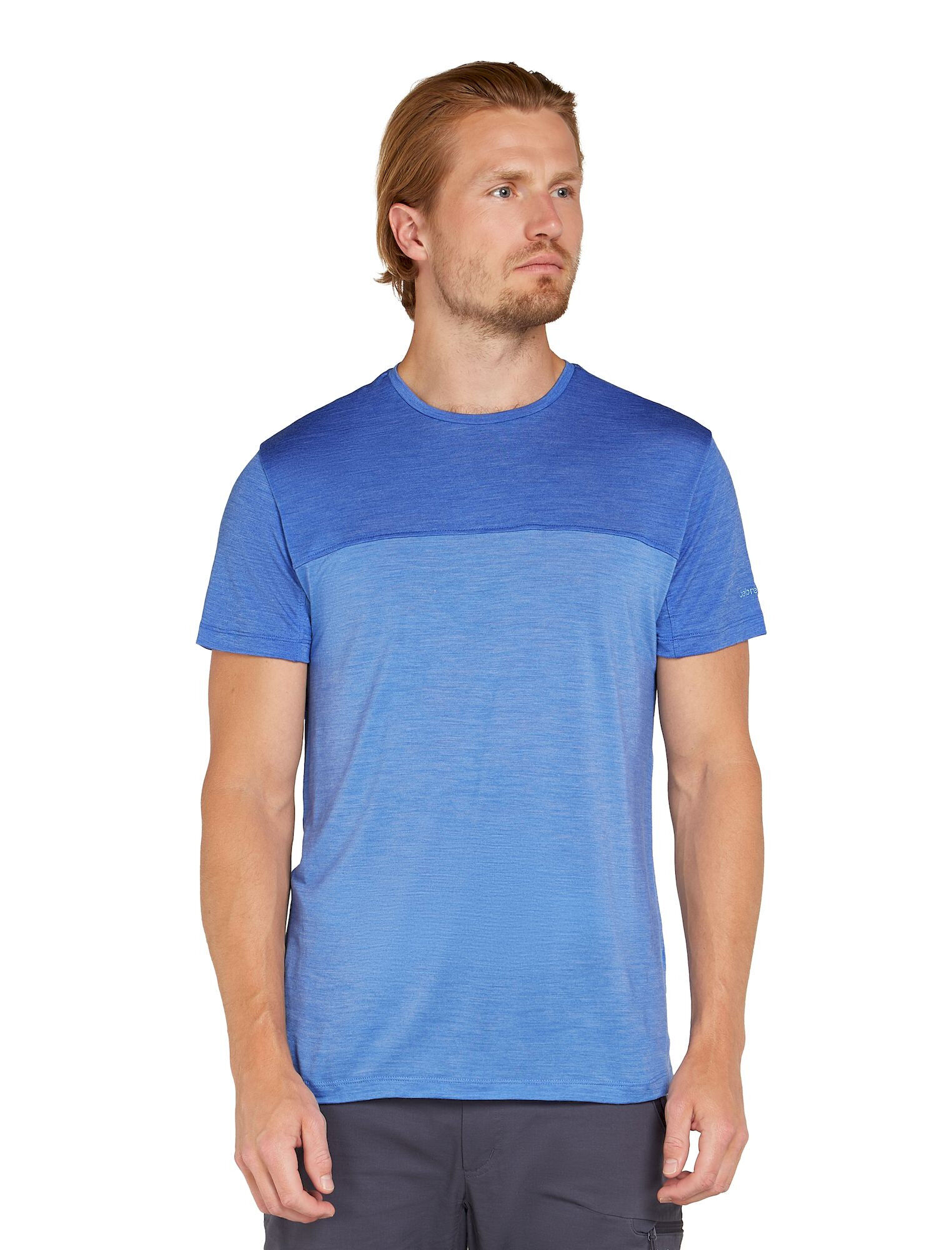 Icebreaker Merino 125 Cool-Lite Sphere III SS Tee Colour Block - Maglia merino - Uomo | Hardloop