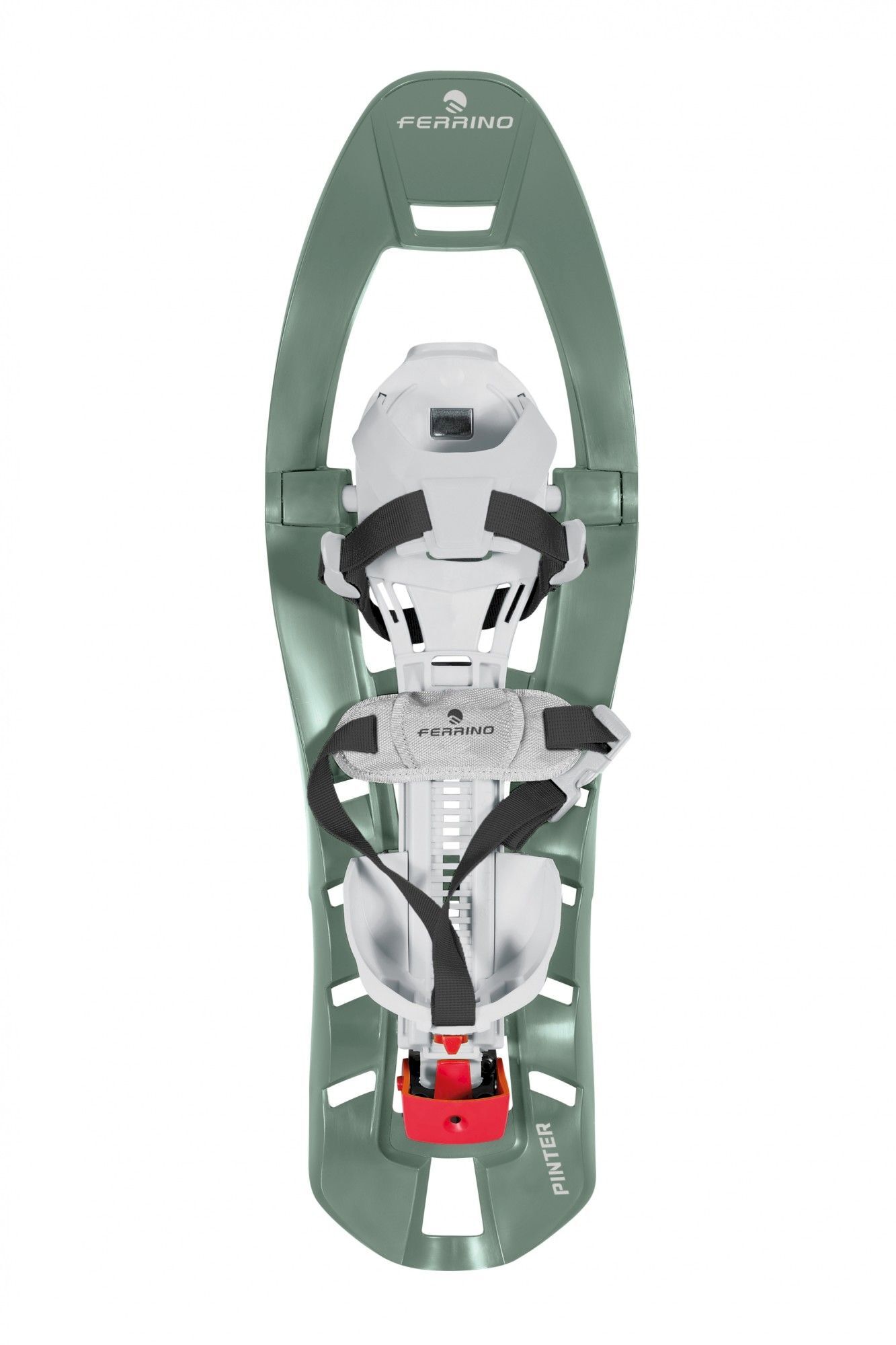 Ferrino Pinter Castor - Snowshoes | Hardloop