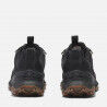 Timberland Motion Access Low Waterproof - Trailrunningskor - Herr | Hardloop