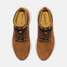 Timberland Killington Trekker Mid - Walking shoes - Men's | Hardloop