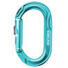 Icemint