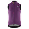 Alchemy Purple