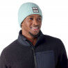 Arctic Green