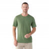 Fern Green