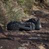 adidas Terrex Soulstride - Sapatilhas trail homem | Hardloop