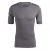 Grey Five