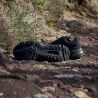 adidas Terrex Soulstride Rain.Rdy - Trail running shoes - Men's | Hardloop