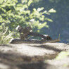 adidas Terrex Hydroterra Light - Sandały turystyczne | Hardloop