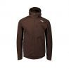Axinite Brown