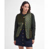 Olive / Ancient