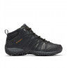 Black / Goldenrod