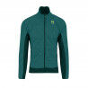 Balsam / Forest
