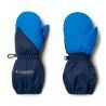 Collegiate Navy / Bright Indigo