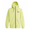 Celery Green