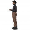 Patagonia Men's Insulated Storm Shift Pants - Spodnie narciarskie męskie | Hardloop