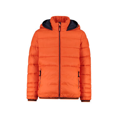 Boy's padded jacket with hood - Casaco penas criança