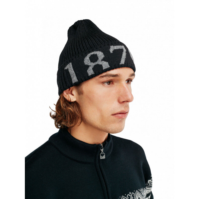 Dale of Norway 1879 Hat - Merino wool Beanie | Hardloop