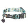 Sweeping Sage