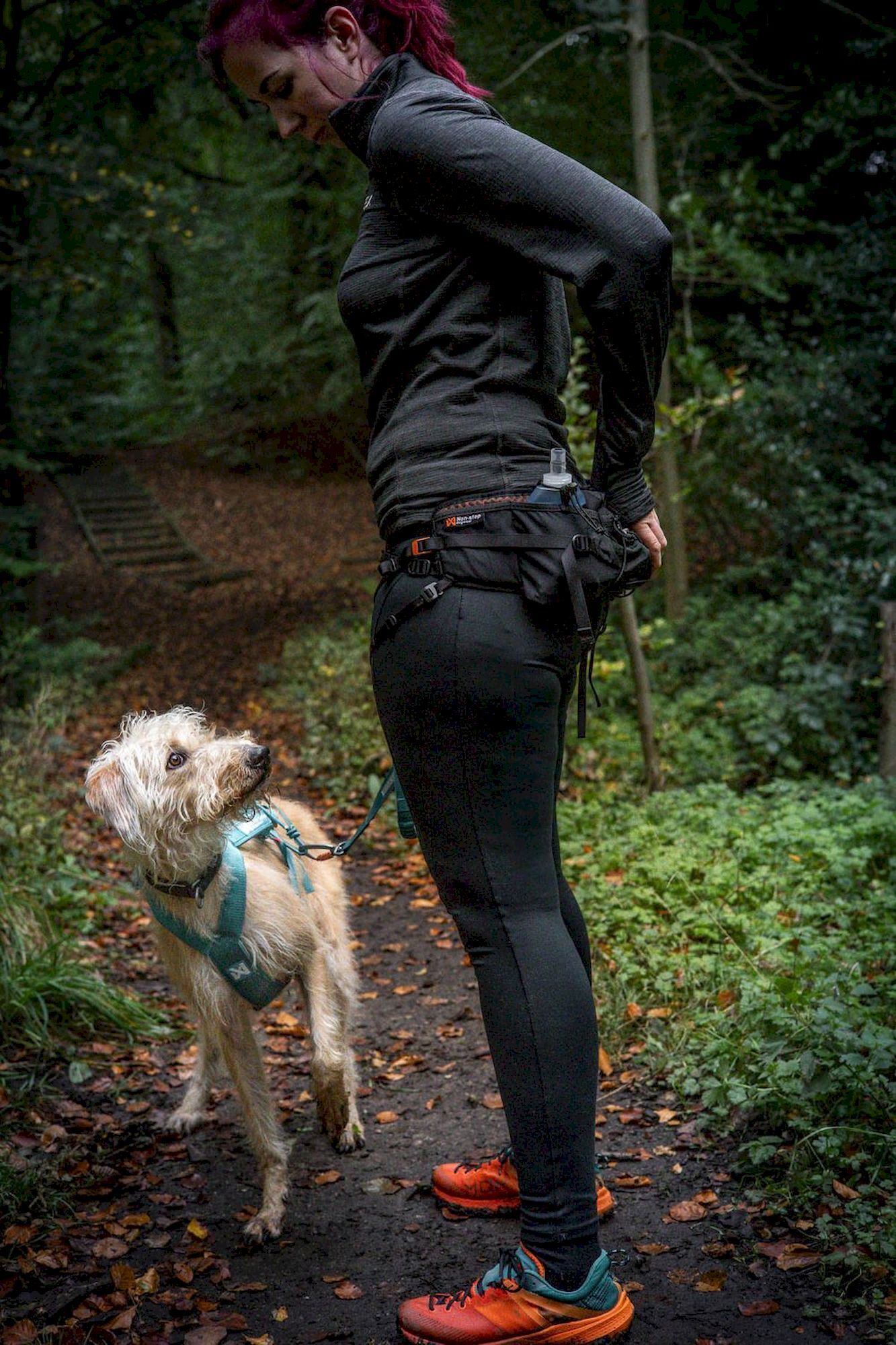Non-stop dogwear Trail Light Belt - Pas do dogtrekkingu | Hardloop