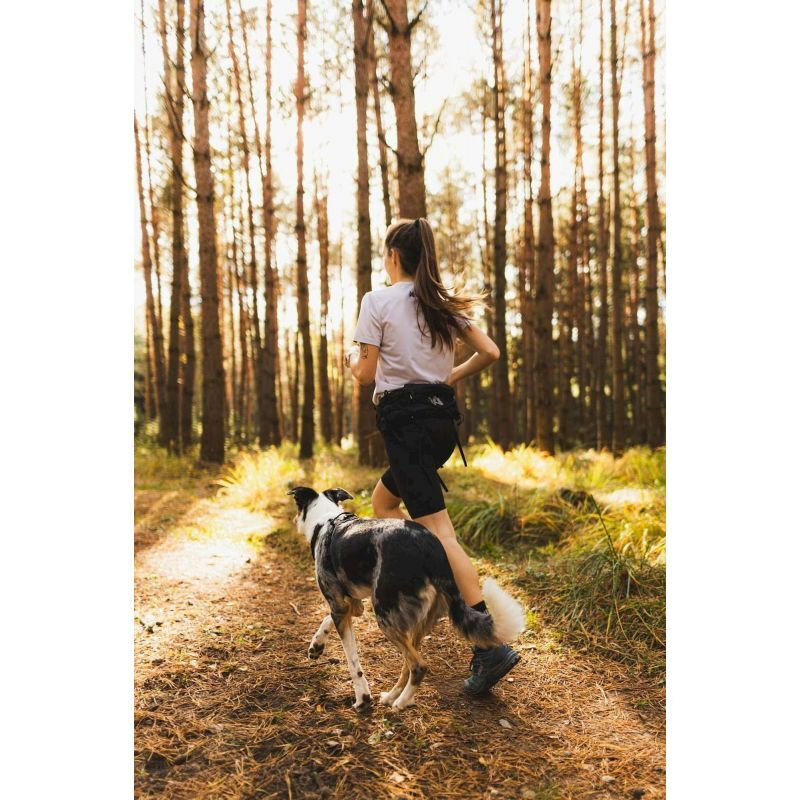 Non-stop dogwear Trail Light Belt - Ceinture canirando | Hardloop