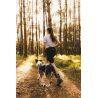 Non-stop dogwear Trail Light Belt - Pas do dogtrekkingu | Hardloop
