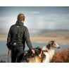Non-stop dogwear Trail Light Belt - Cinturón trekking perro | Hardloop