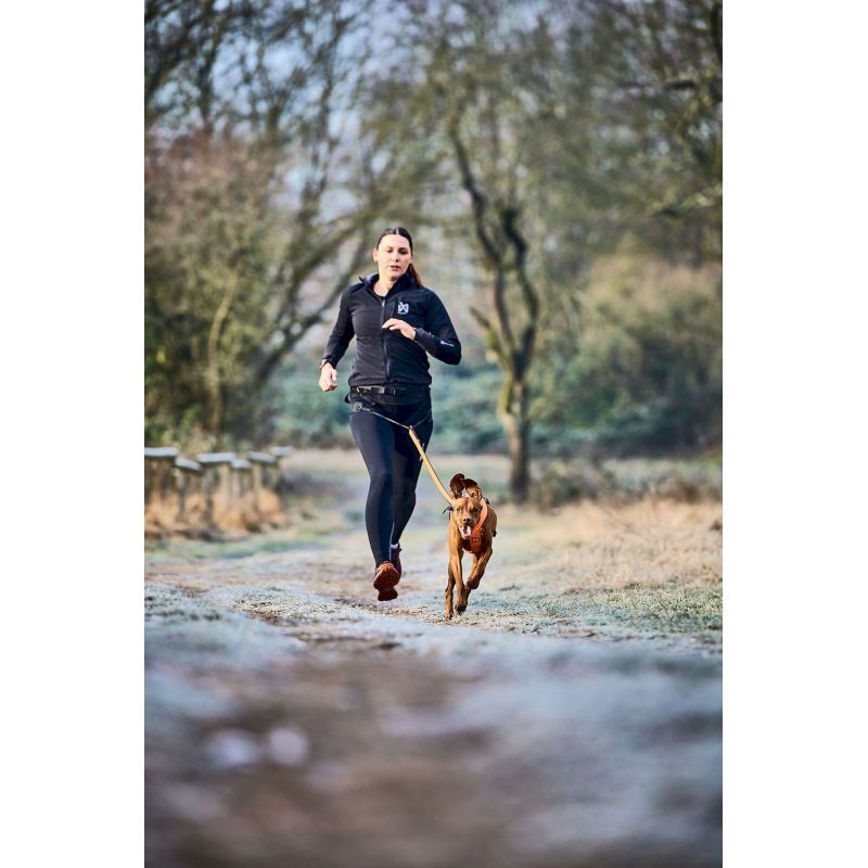 Non-stop dogwear CaniX Belt 2.0 - Ceinture canirando | Hardloop