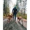 Non-stop dogwear Rock Leash Adjustable - Smycz dla psa | Hardloop